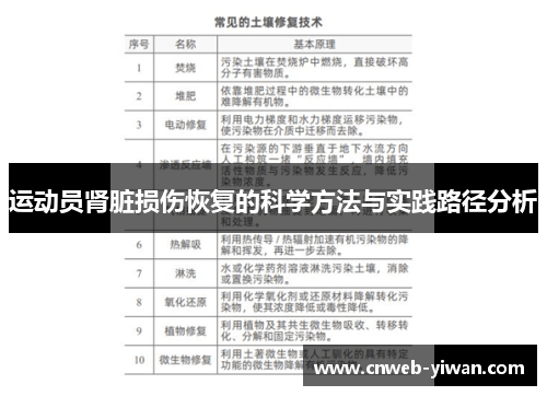 运动员肾脏损伤恢复的科学方法与实践路径分析